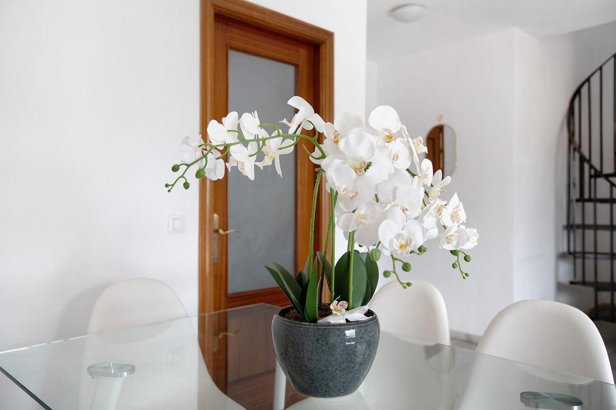 Appartamento Atico Duplex En Málaga Esterno foto